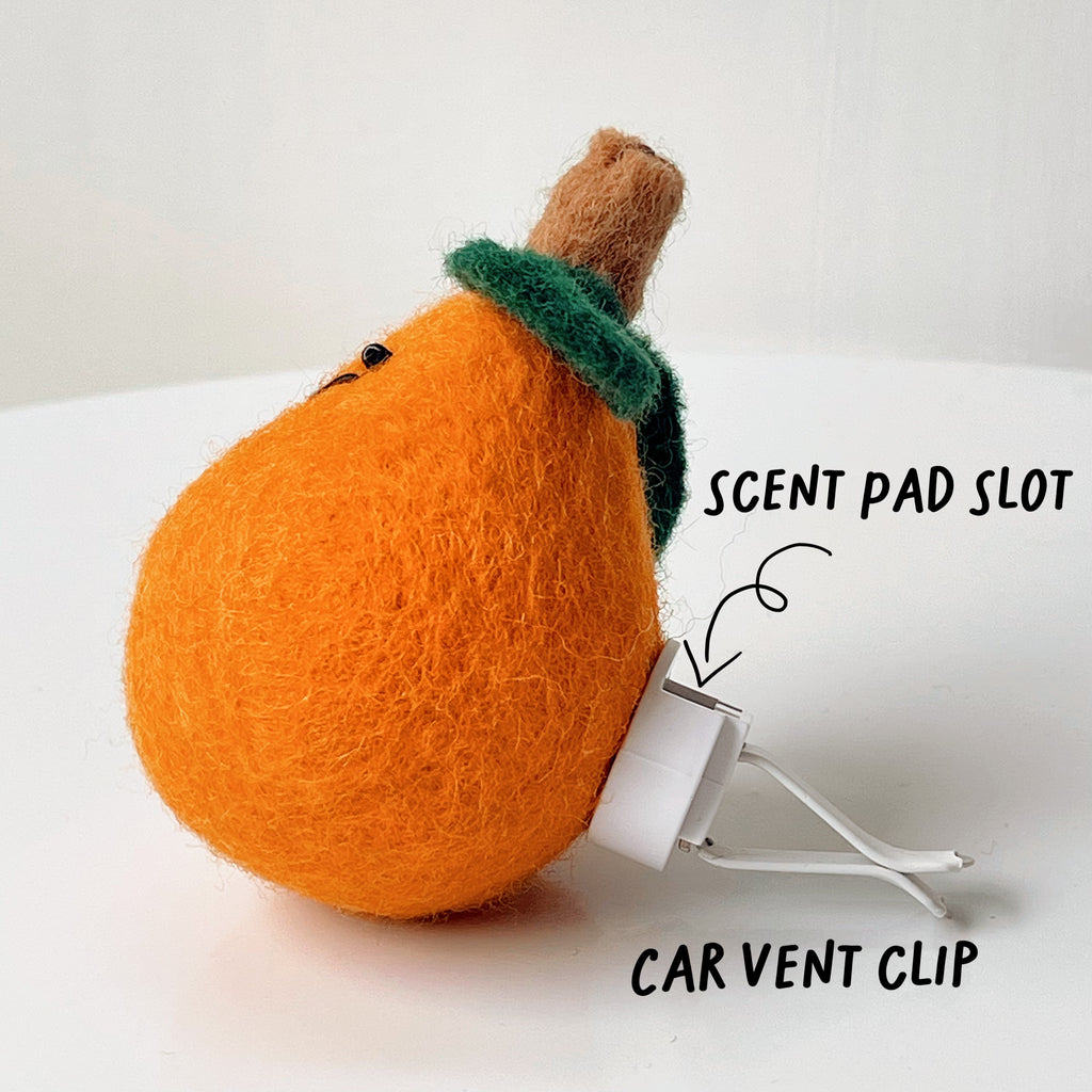 Fruity Vehicle Air Freshener