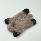 Shadow Raccoon