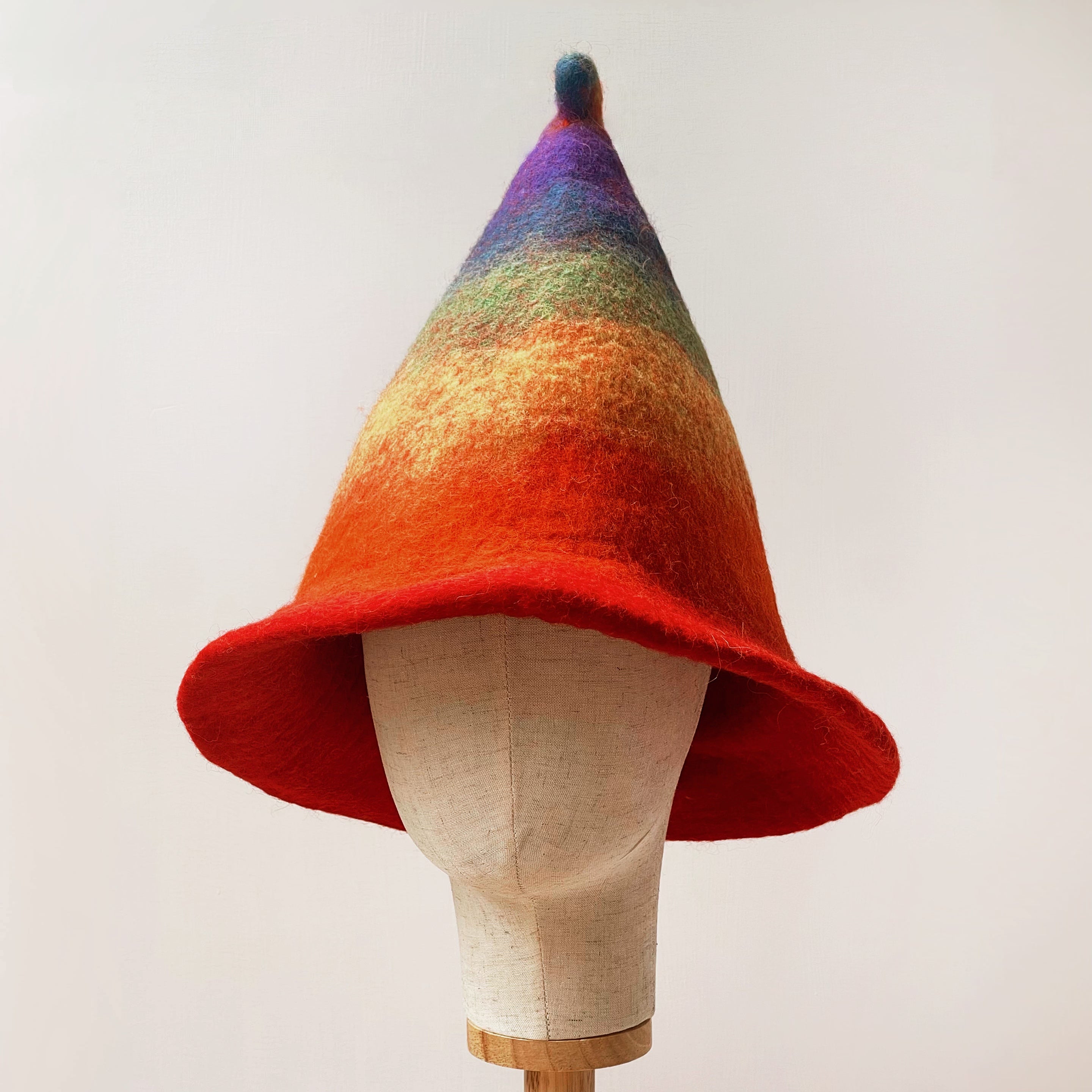 Rainbow Wool Felt Hat