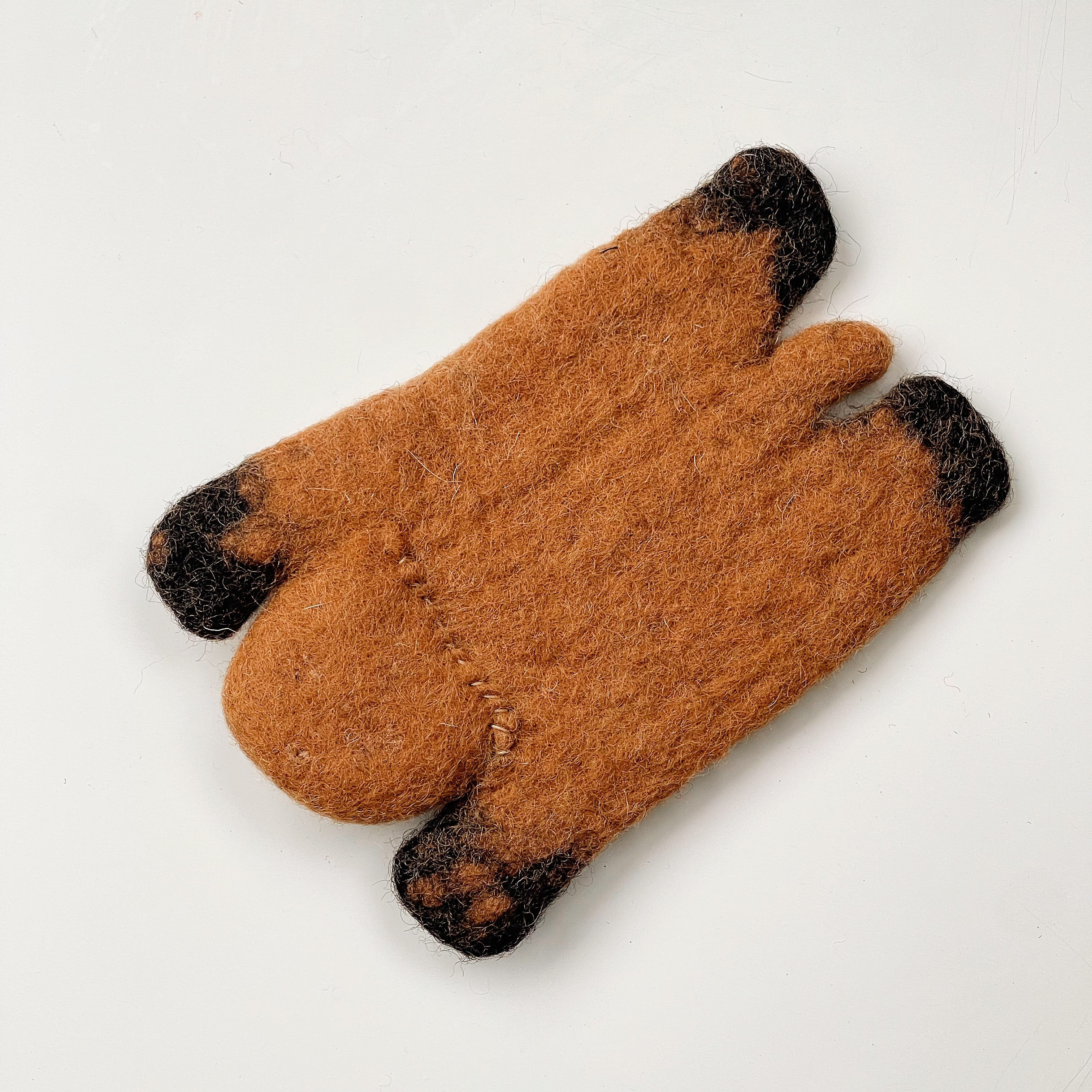 Caramel Raccoon