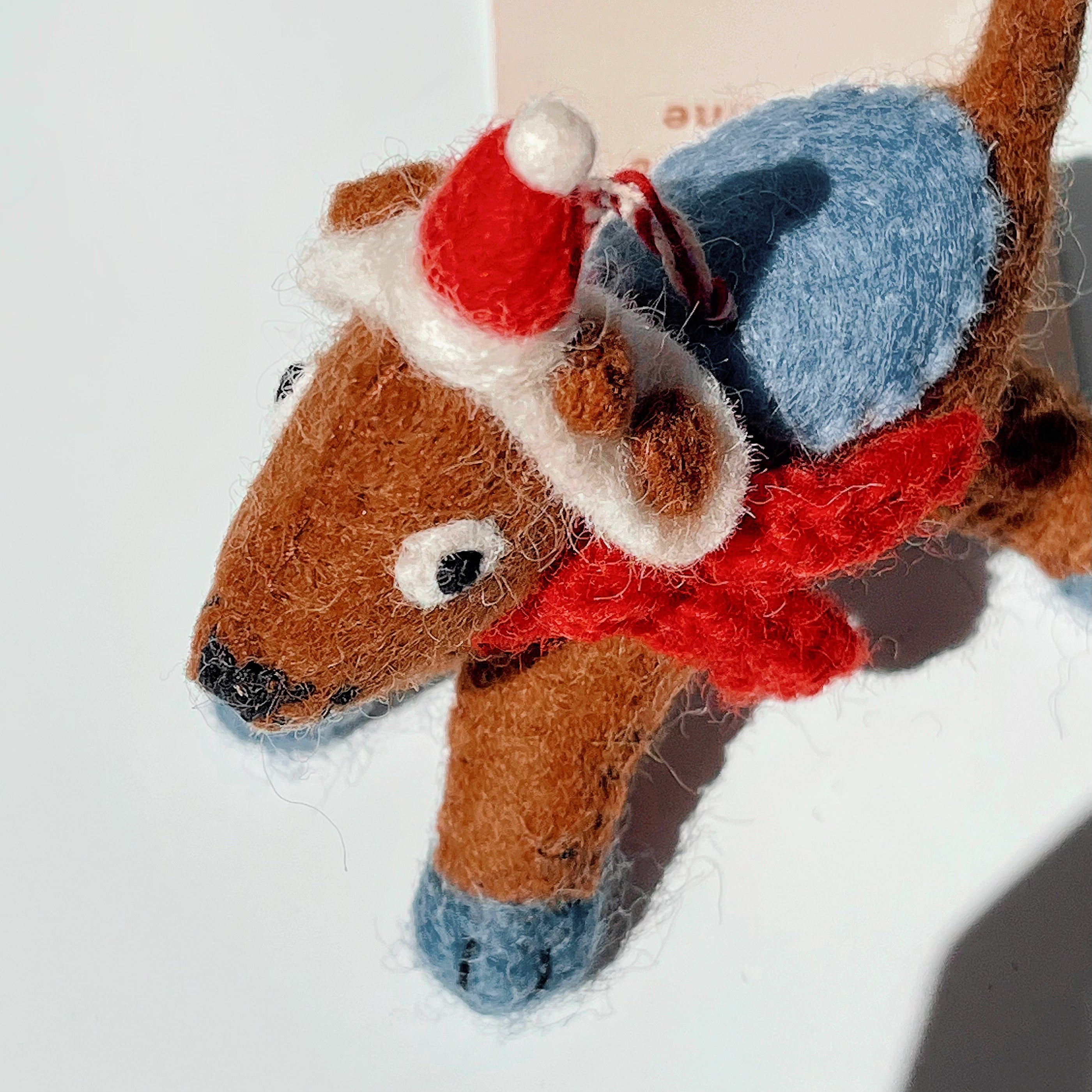 Pip the Reindog