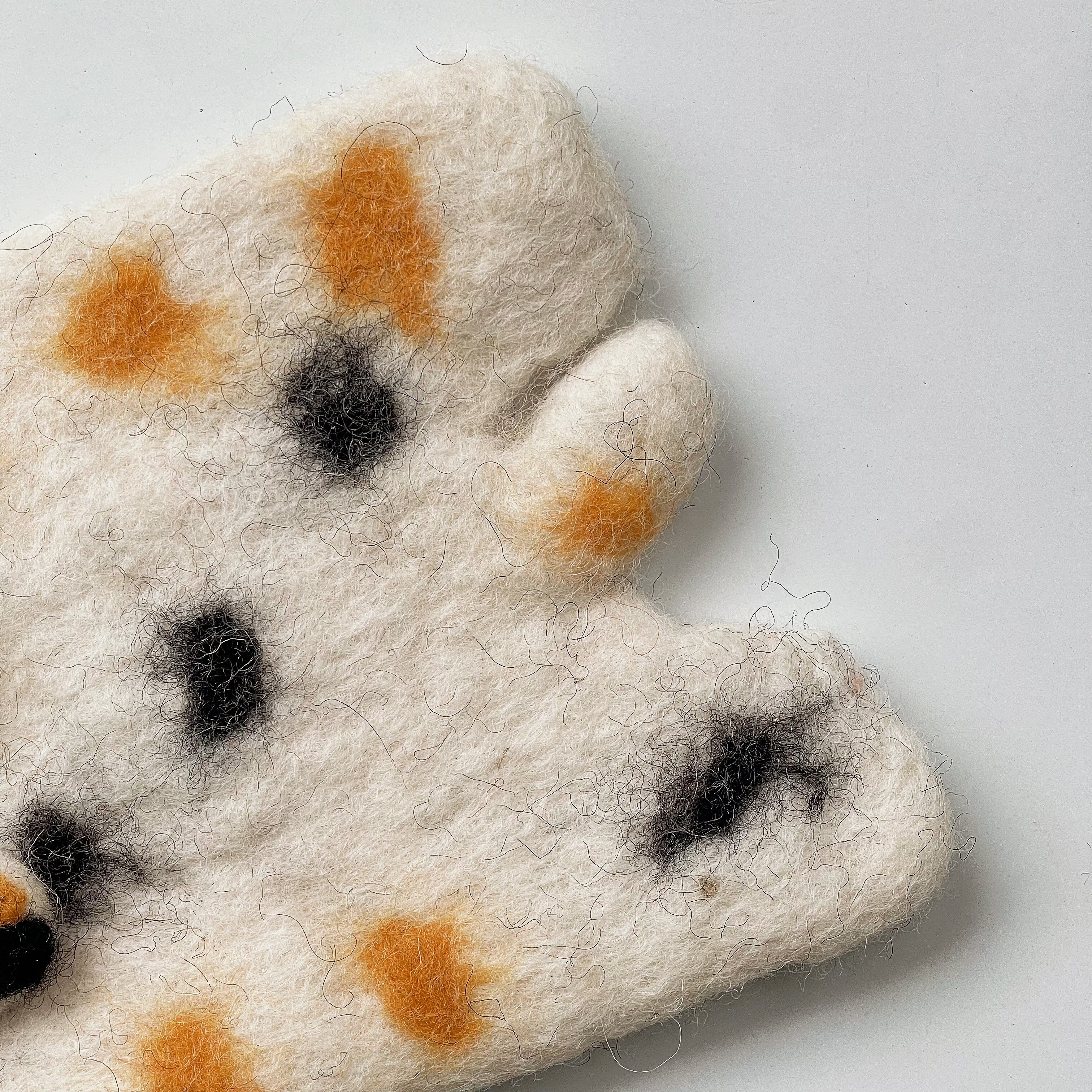 White-spotted Leopard