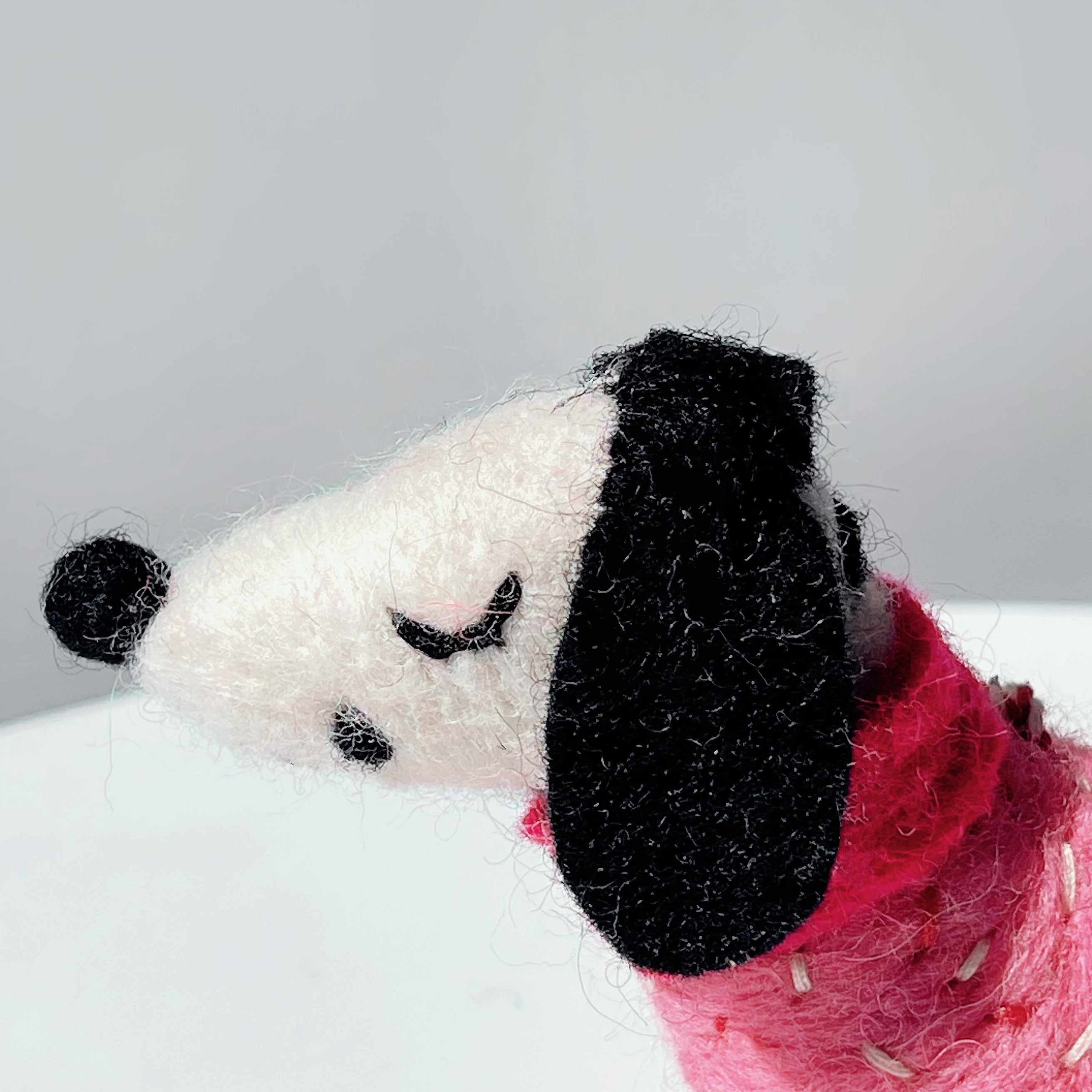 Polka Dotty