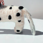 Mr. Pongo