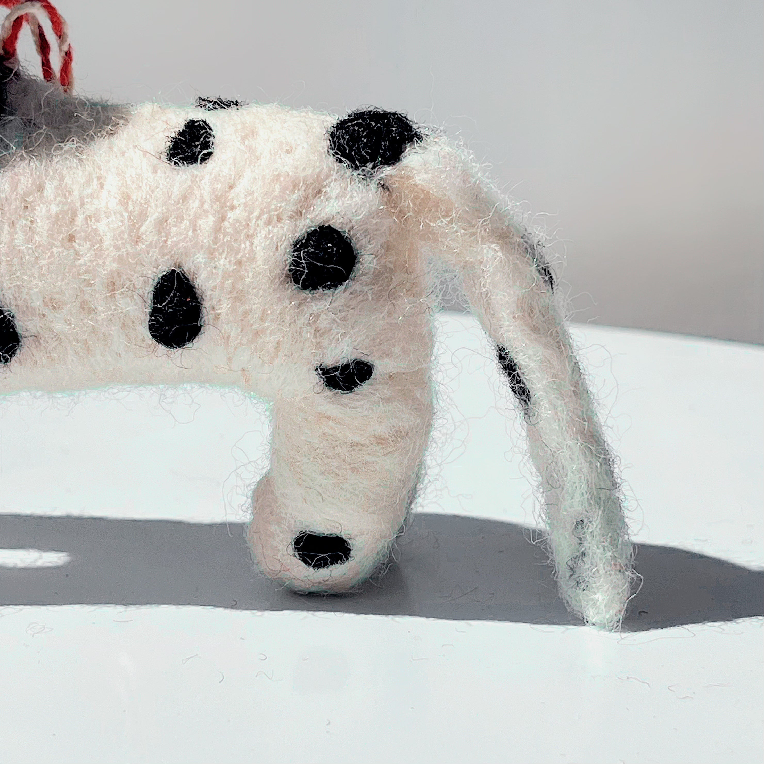 Mr. Pongo