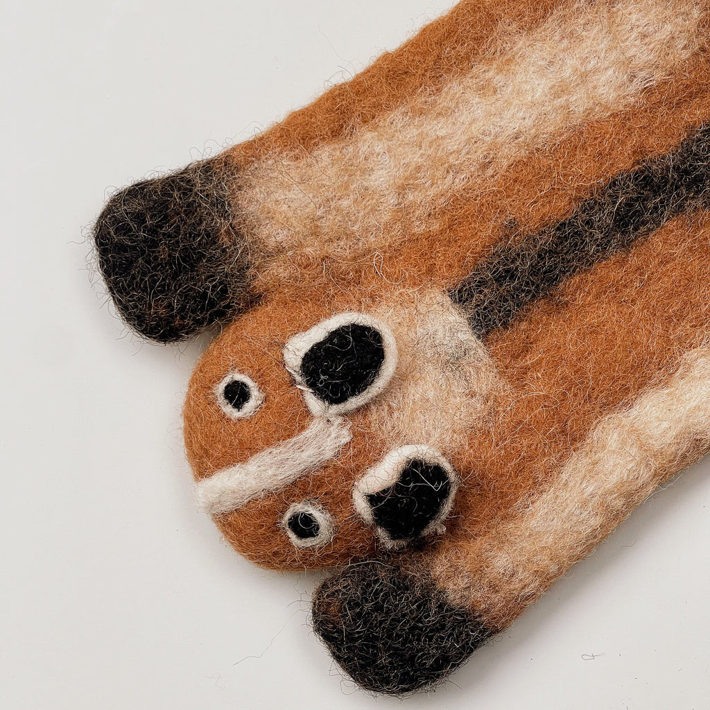 Caramel Raccoon