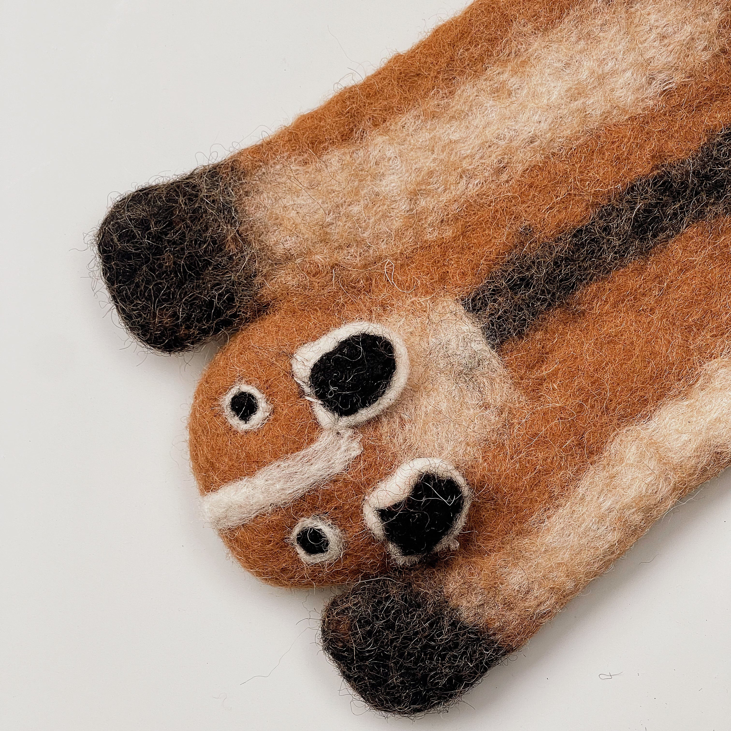 Caramel Raccoon