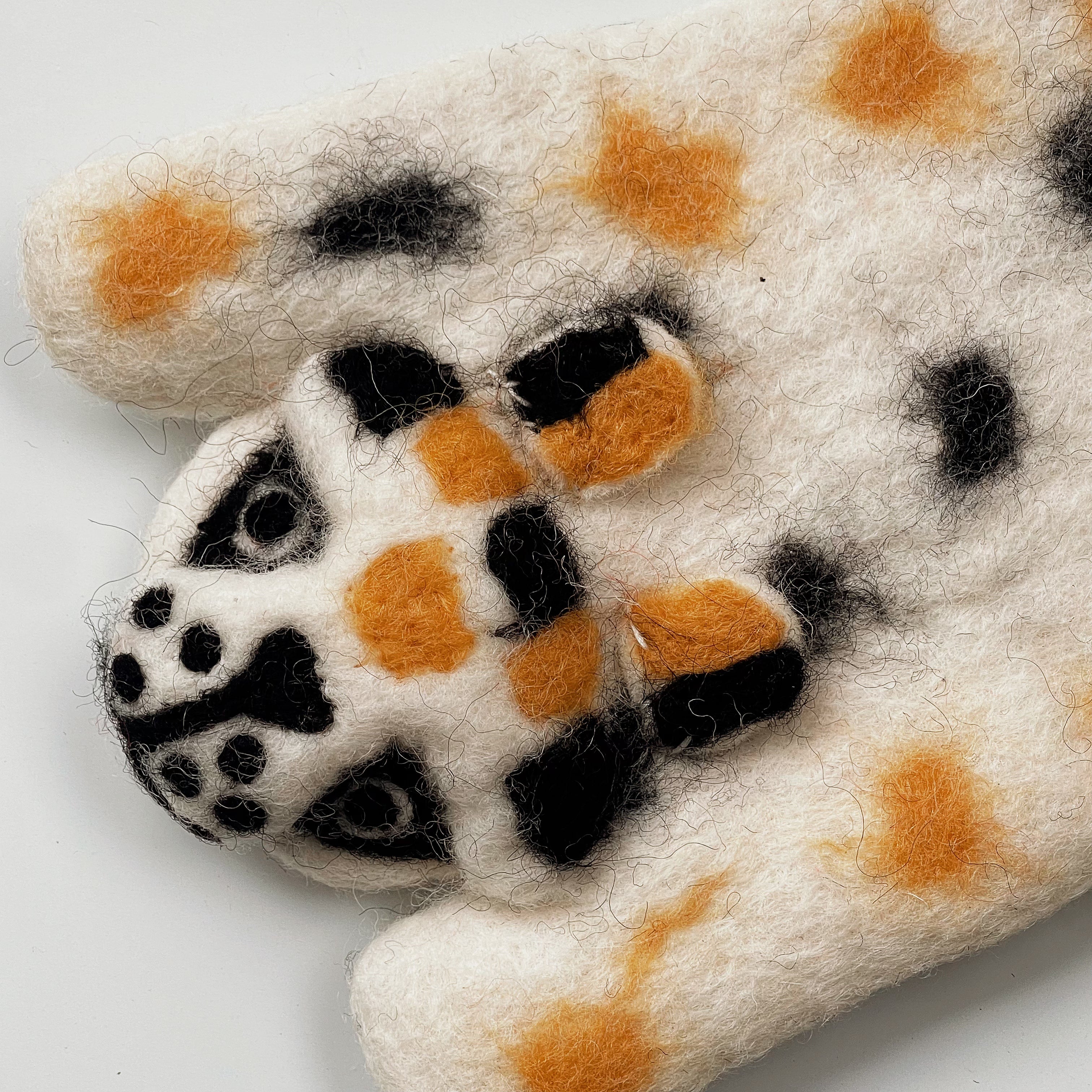 White-spotted Leopard