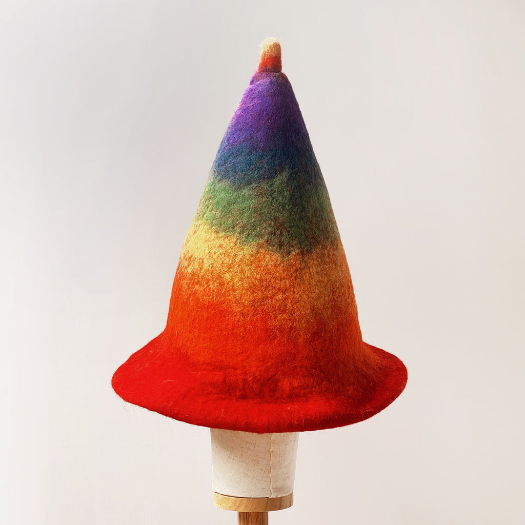 Rainbow Wool Felt Hat