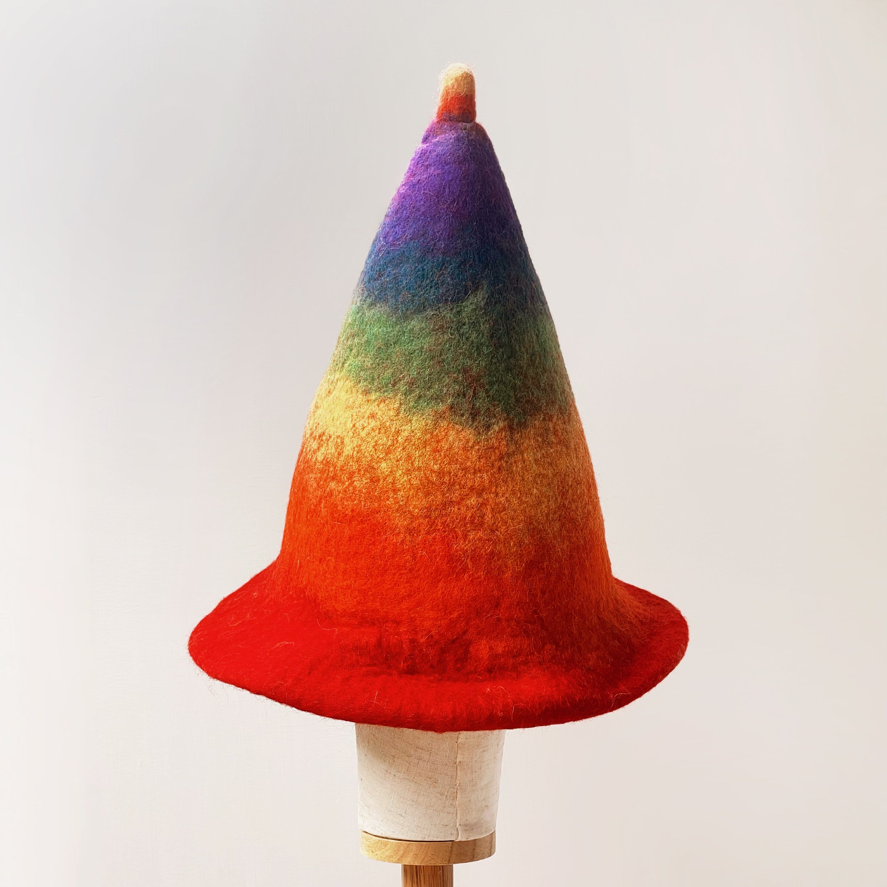 Rainbow Wool Felt Hat