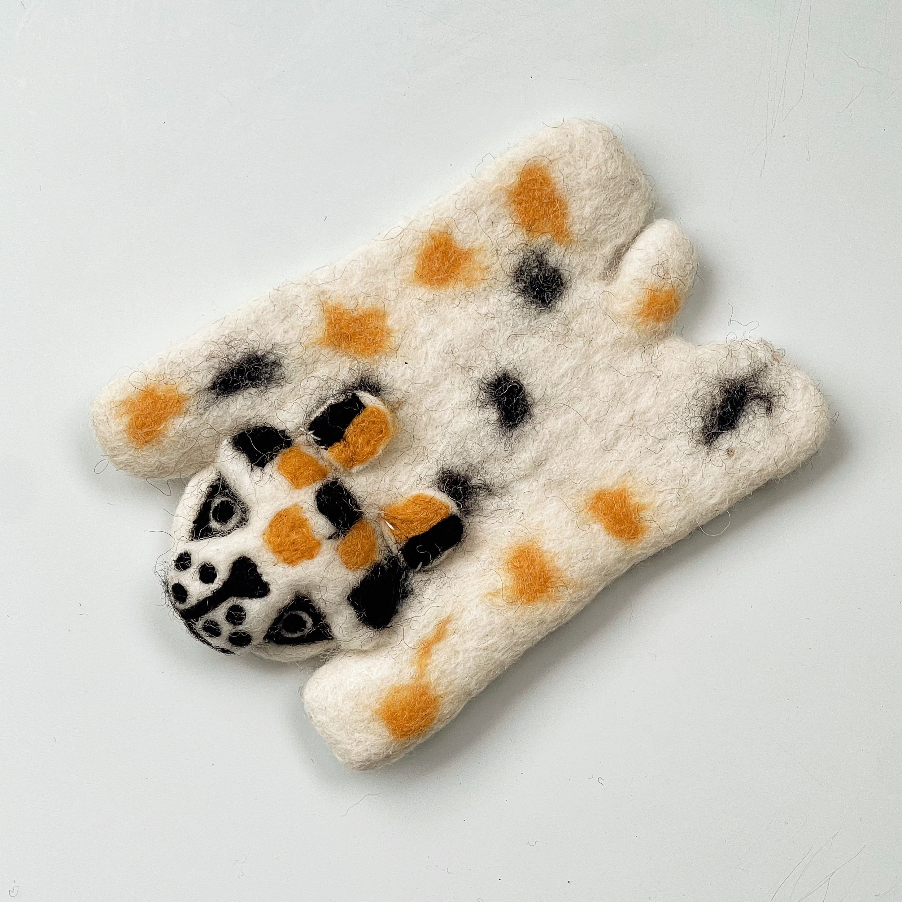 White-spotted Leopard