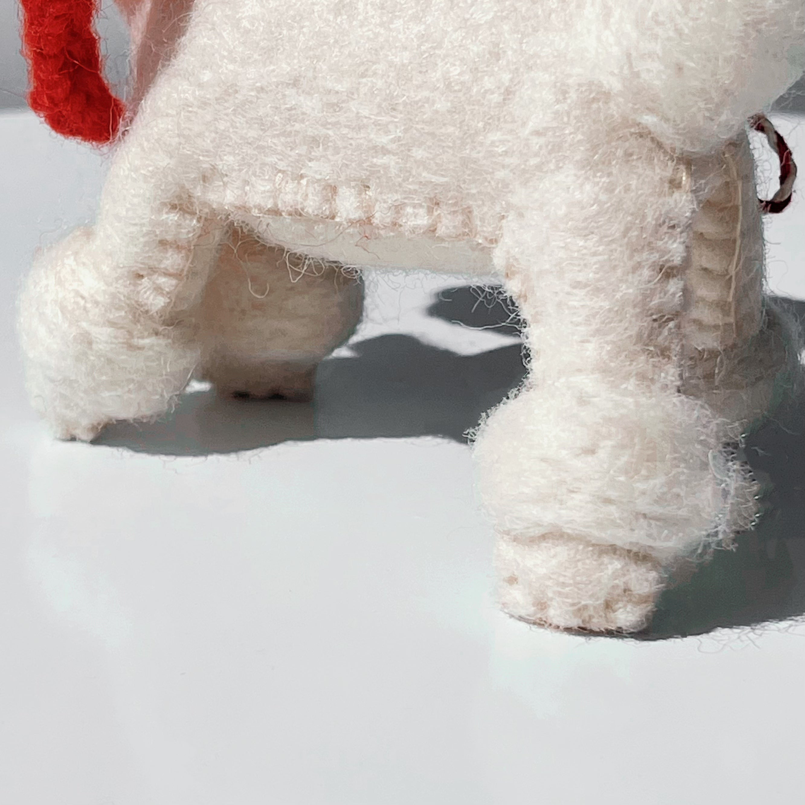 Snowy Paws