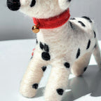 Mr. Pongo