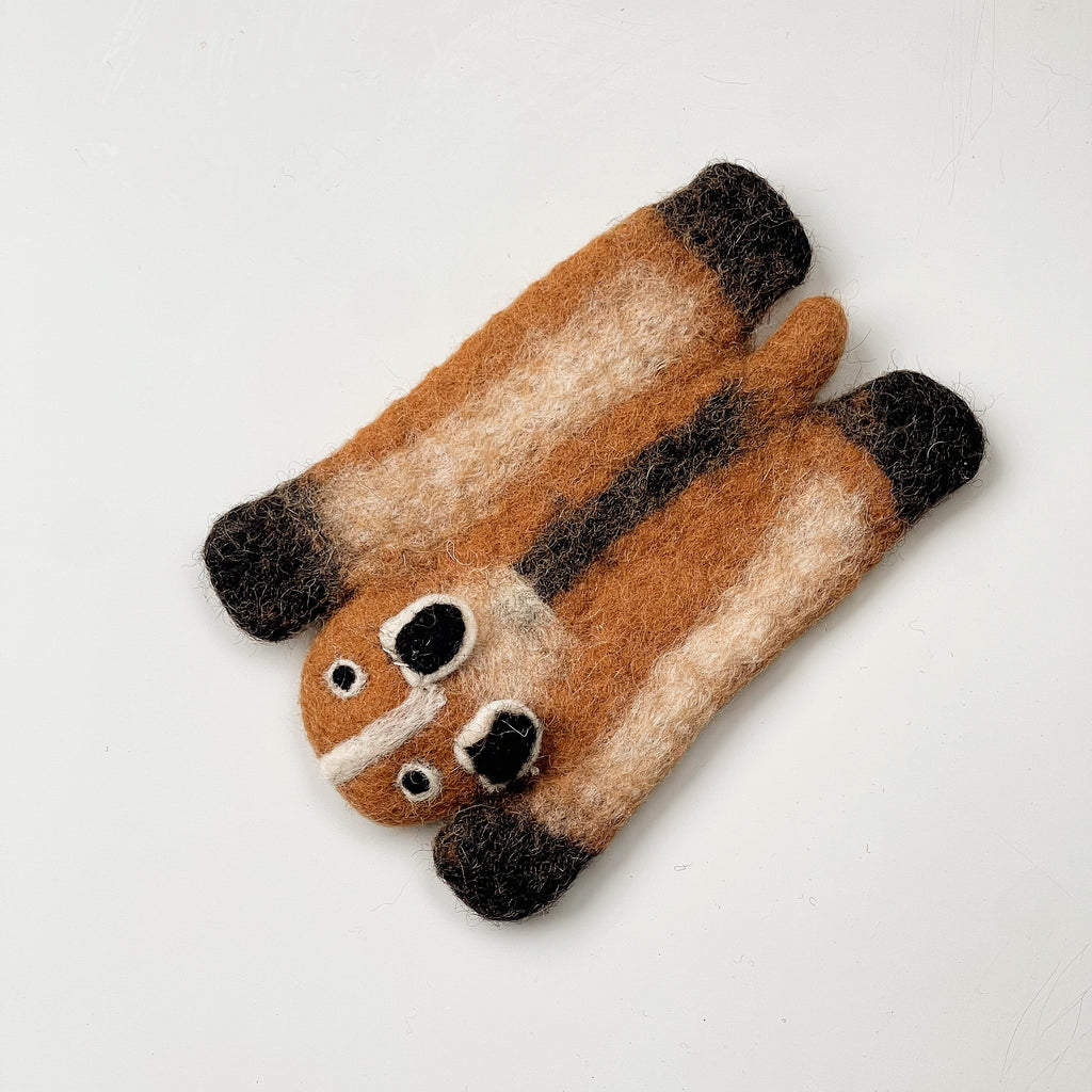 Caramel Raccoon