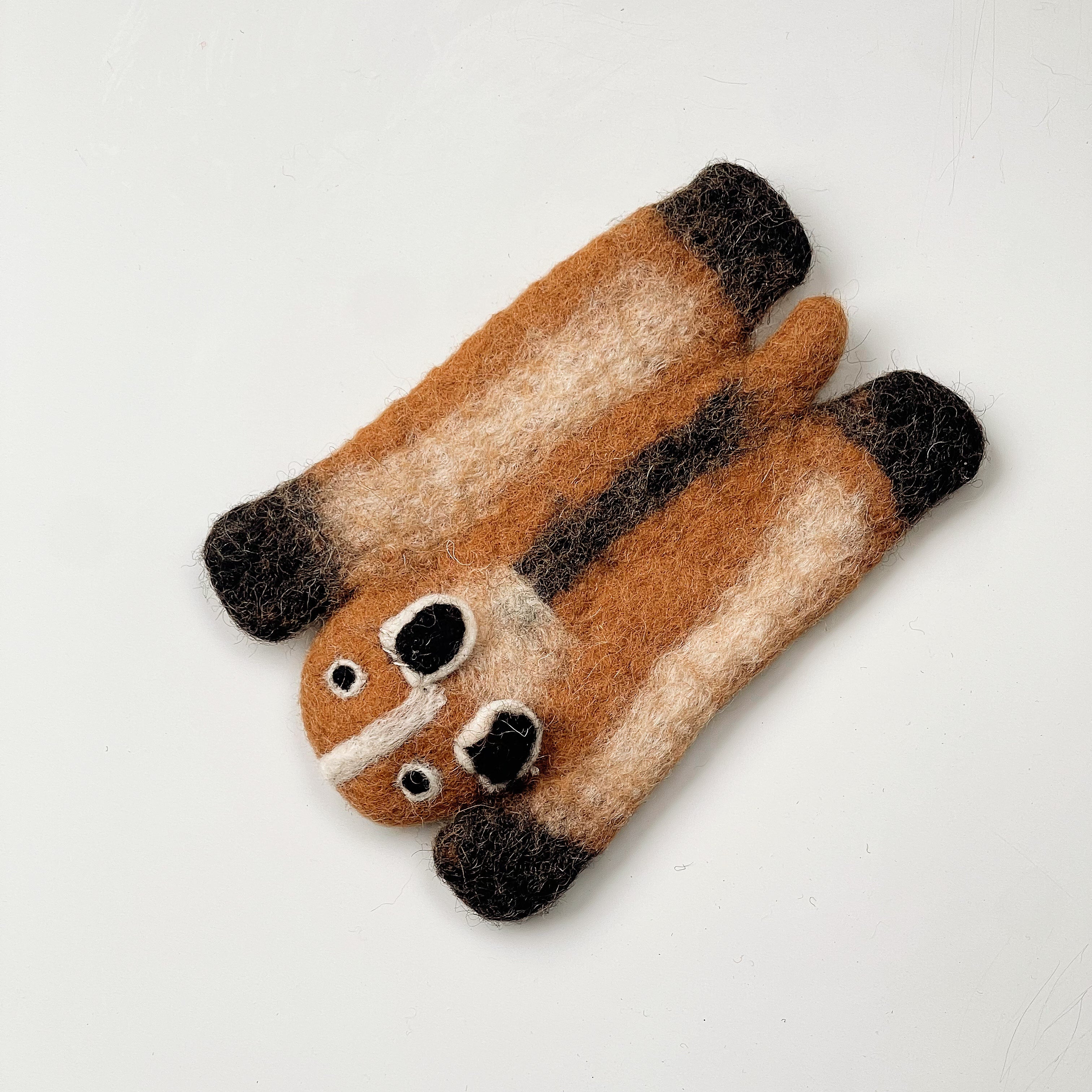 Caramel Raccoon