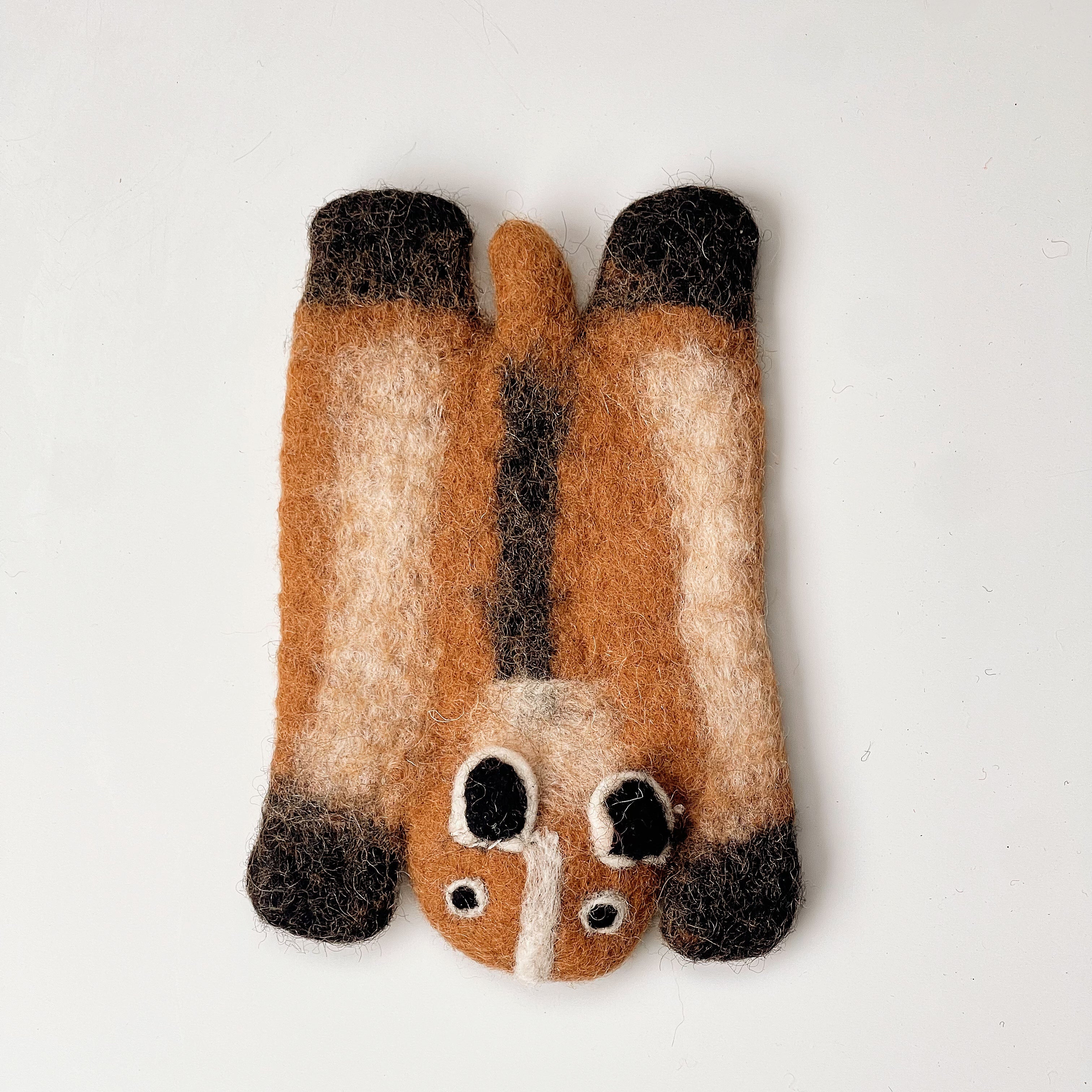 Caramel Raccoon