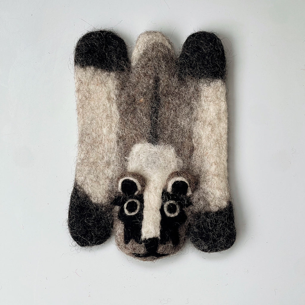 Shadow Raccoon