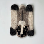 Shadow Raccoon
