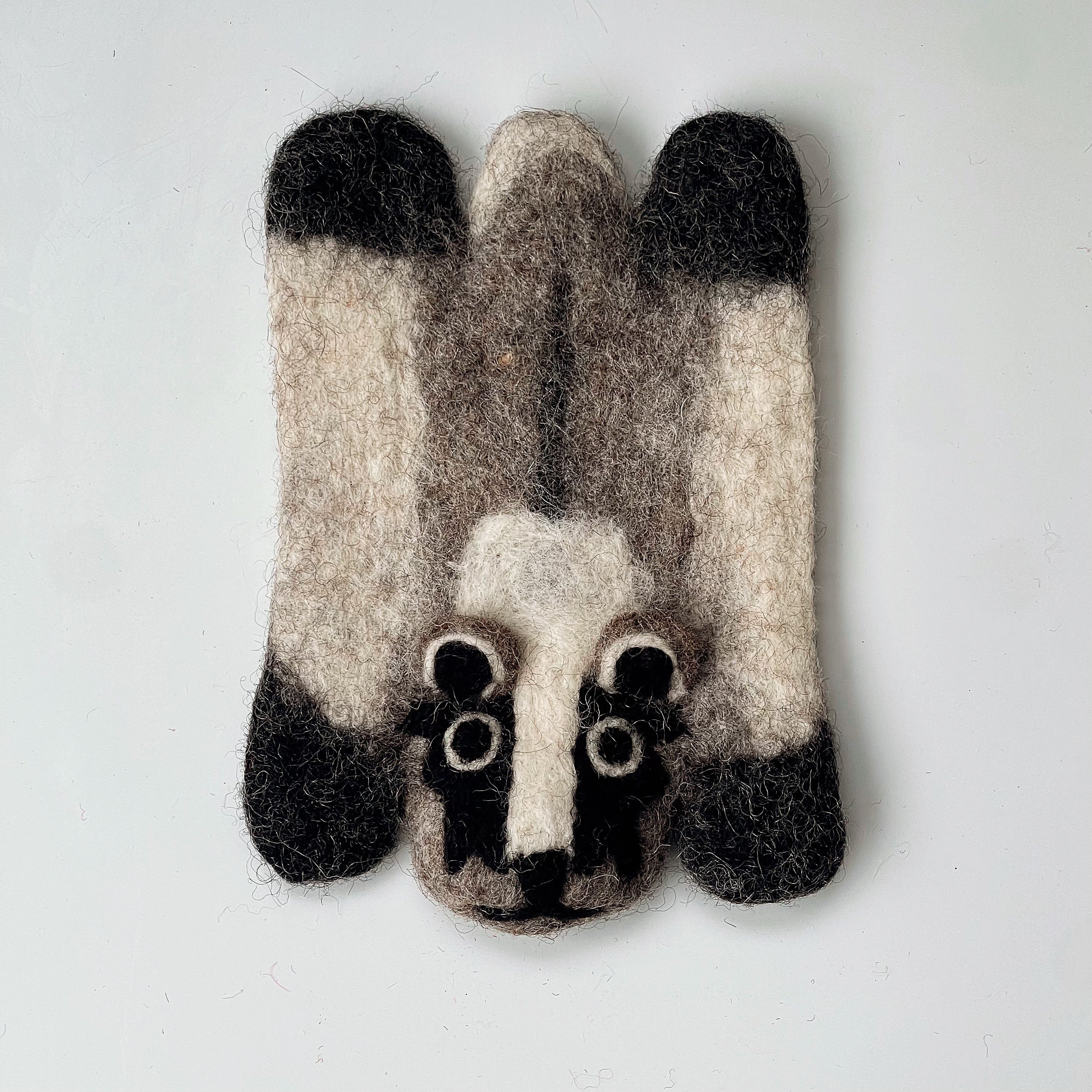 Shadow Raccoon