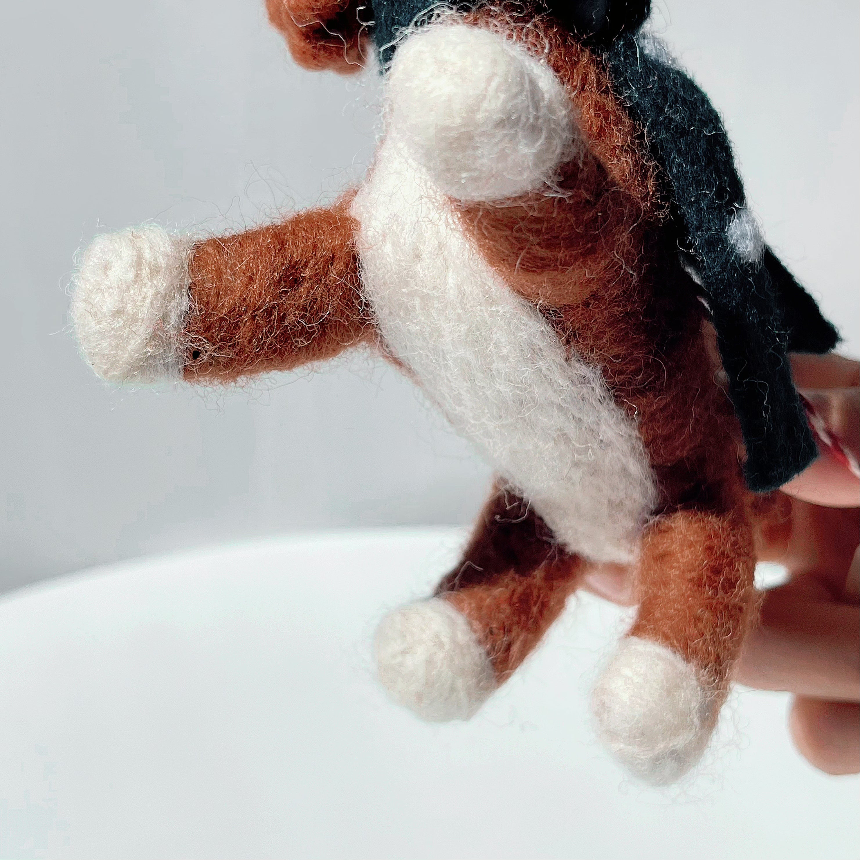 Mr. Toffee