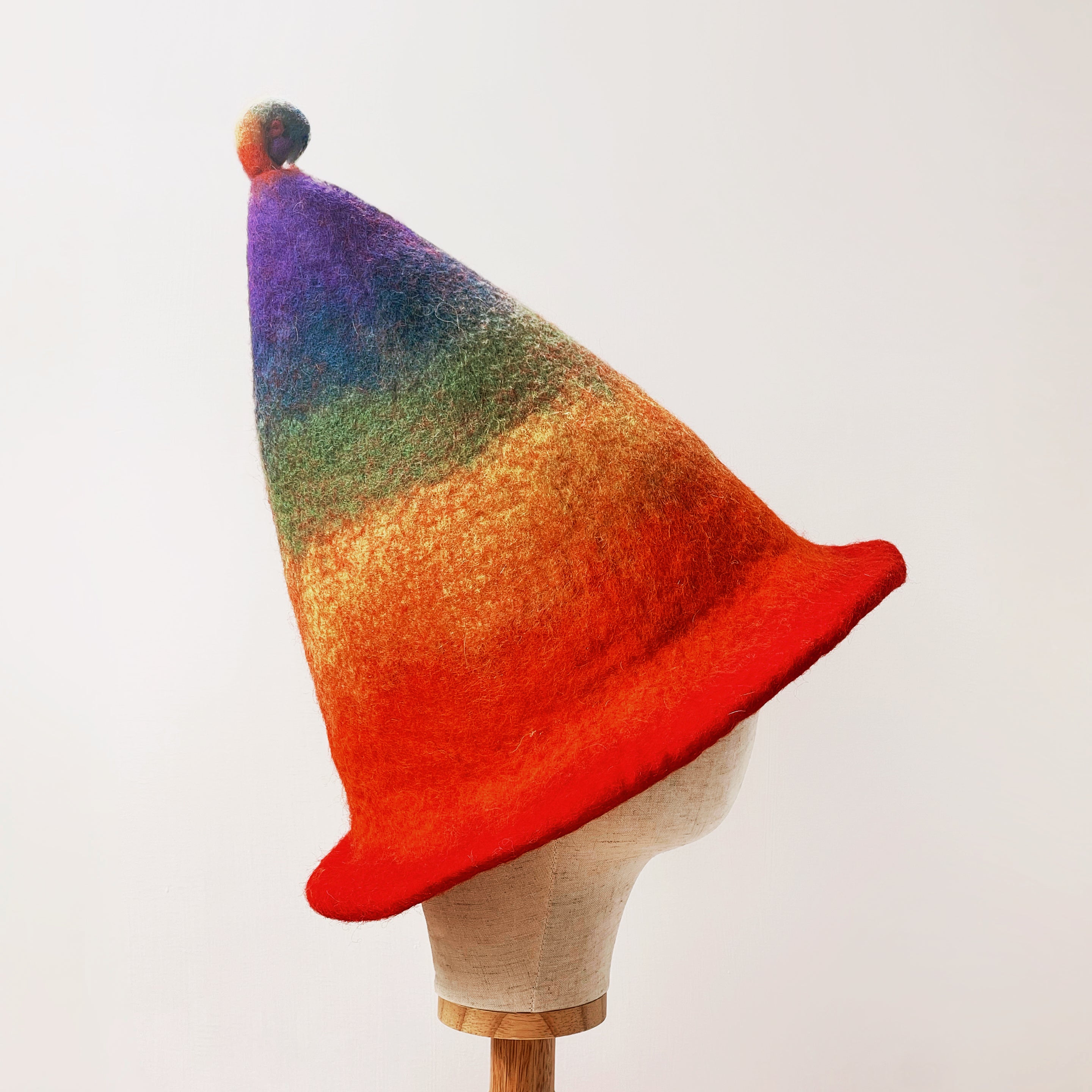 Rainbow Wool Felt Hat