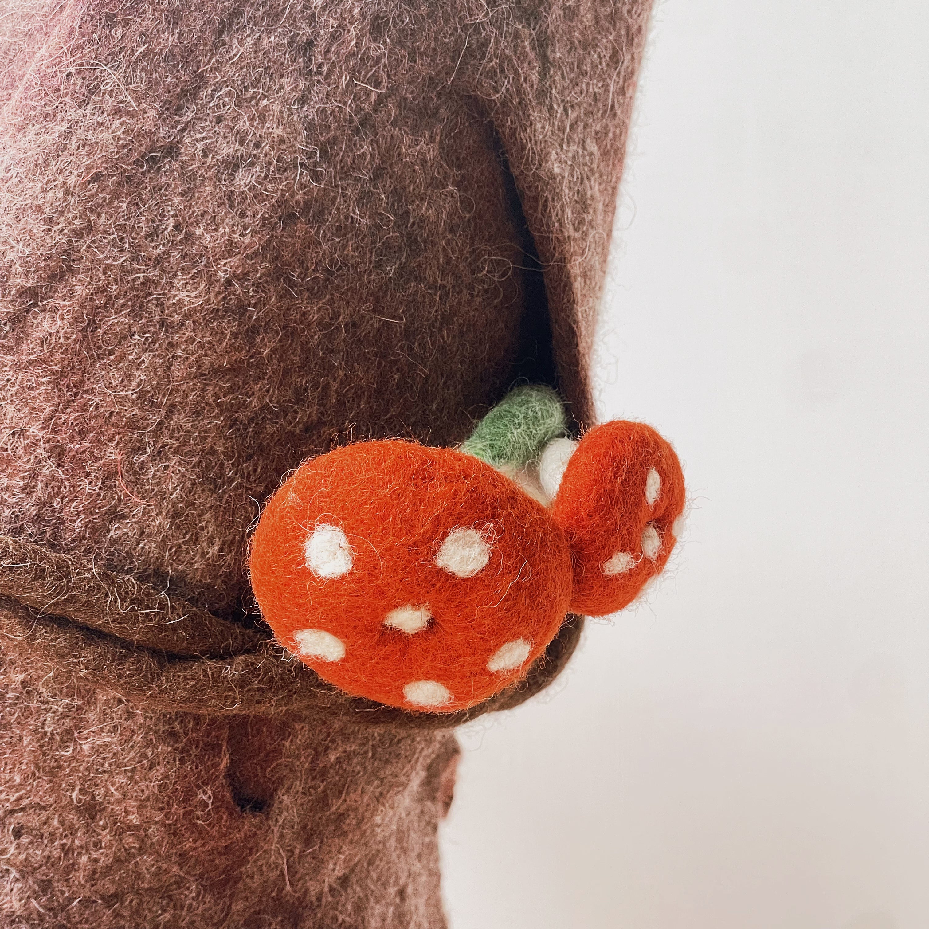 Woodland Elf Felt Hat
