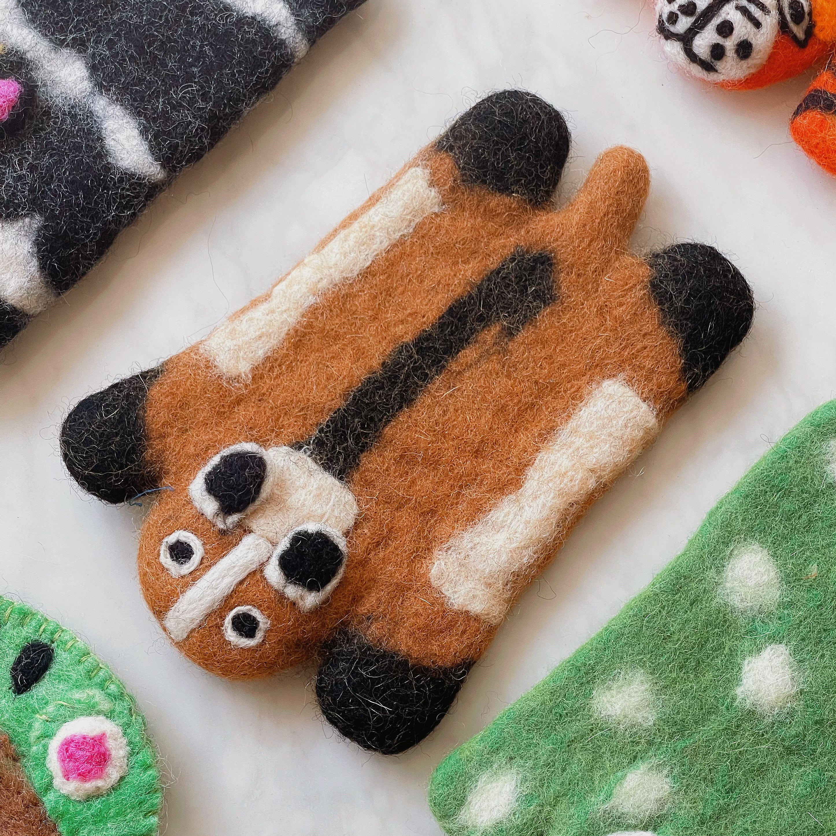 Caramel Raccoon